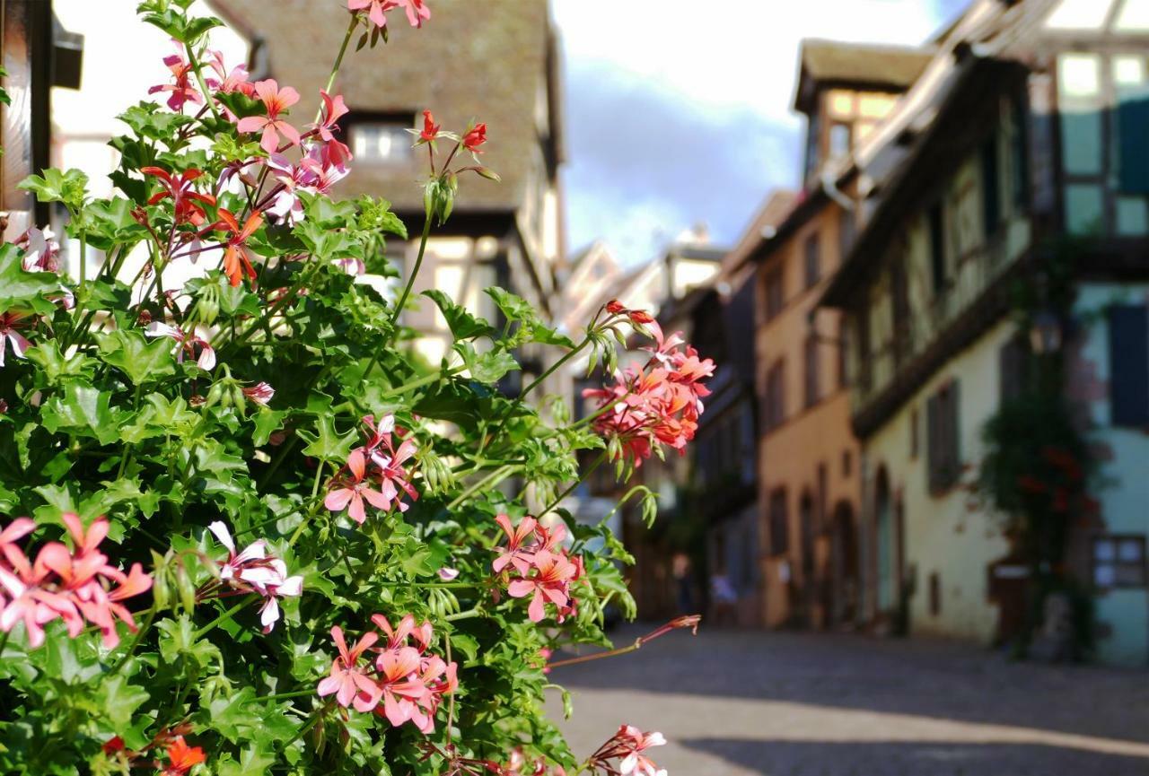 Gite L'Agape Riquewihr Exterior foto